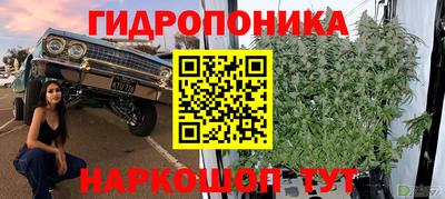 винт Будённовск