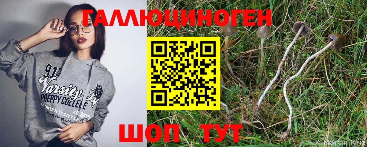 Галлюциногенные грибы GOLDEN TEACHER Сарапул