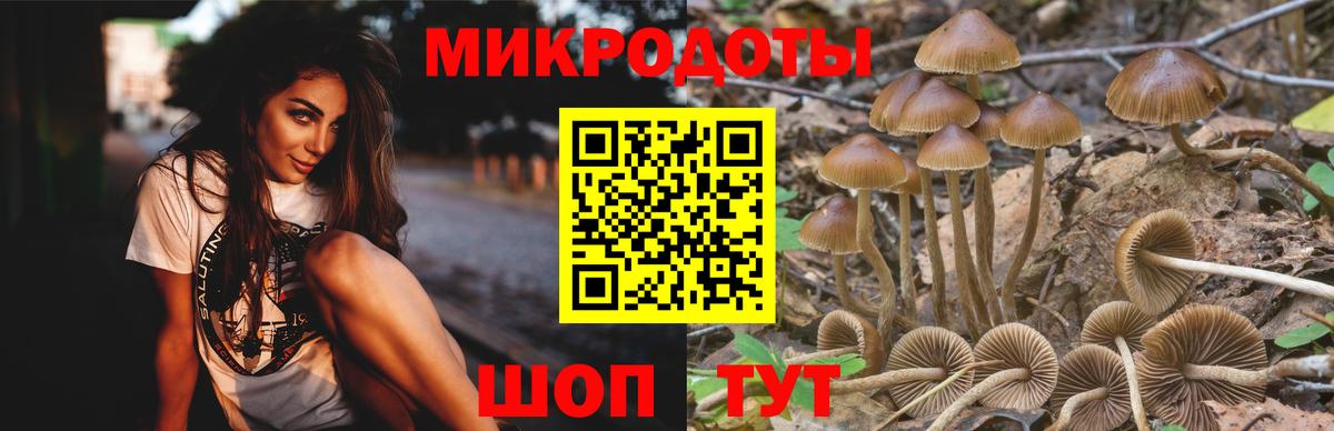 Галлюциногенные грибы Magic Shrooms  Вход с VPN  Сарапул  Псилоцибиновые грибы ЛСД 